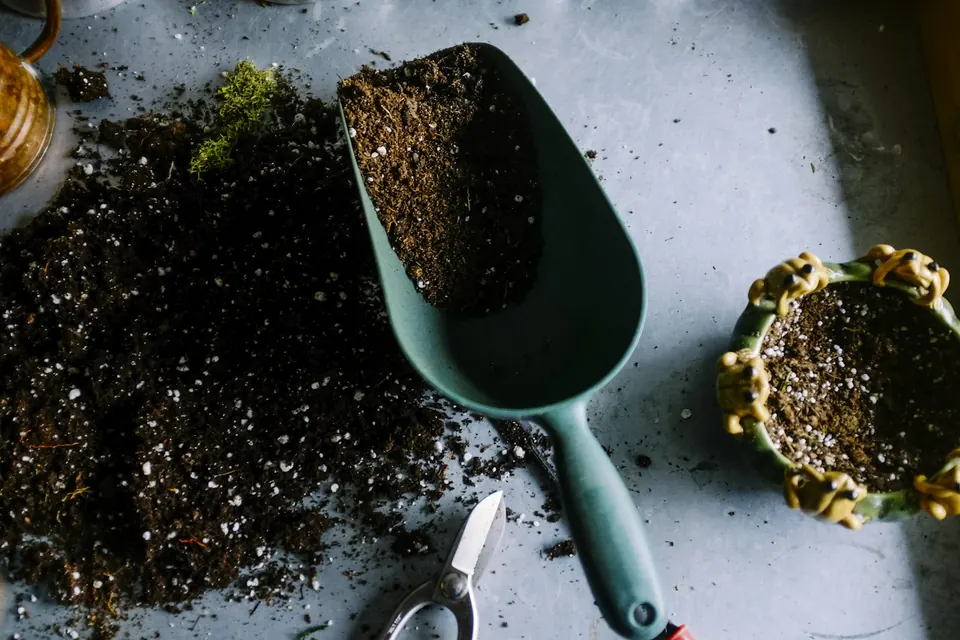 Hands working the soil in a garden bed