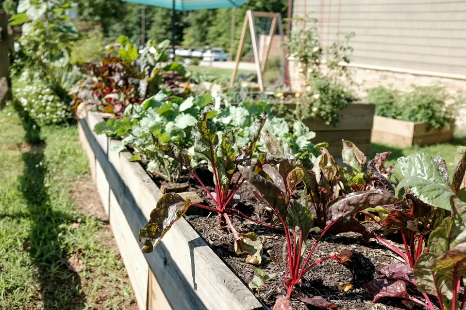 Timber and stone raised garden beds