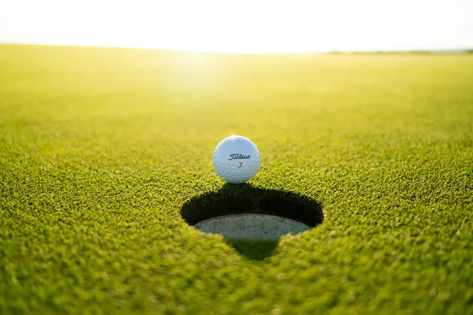 Backyard putting green with manicured turf